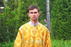 Дмитрий Перкалев
