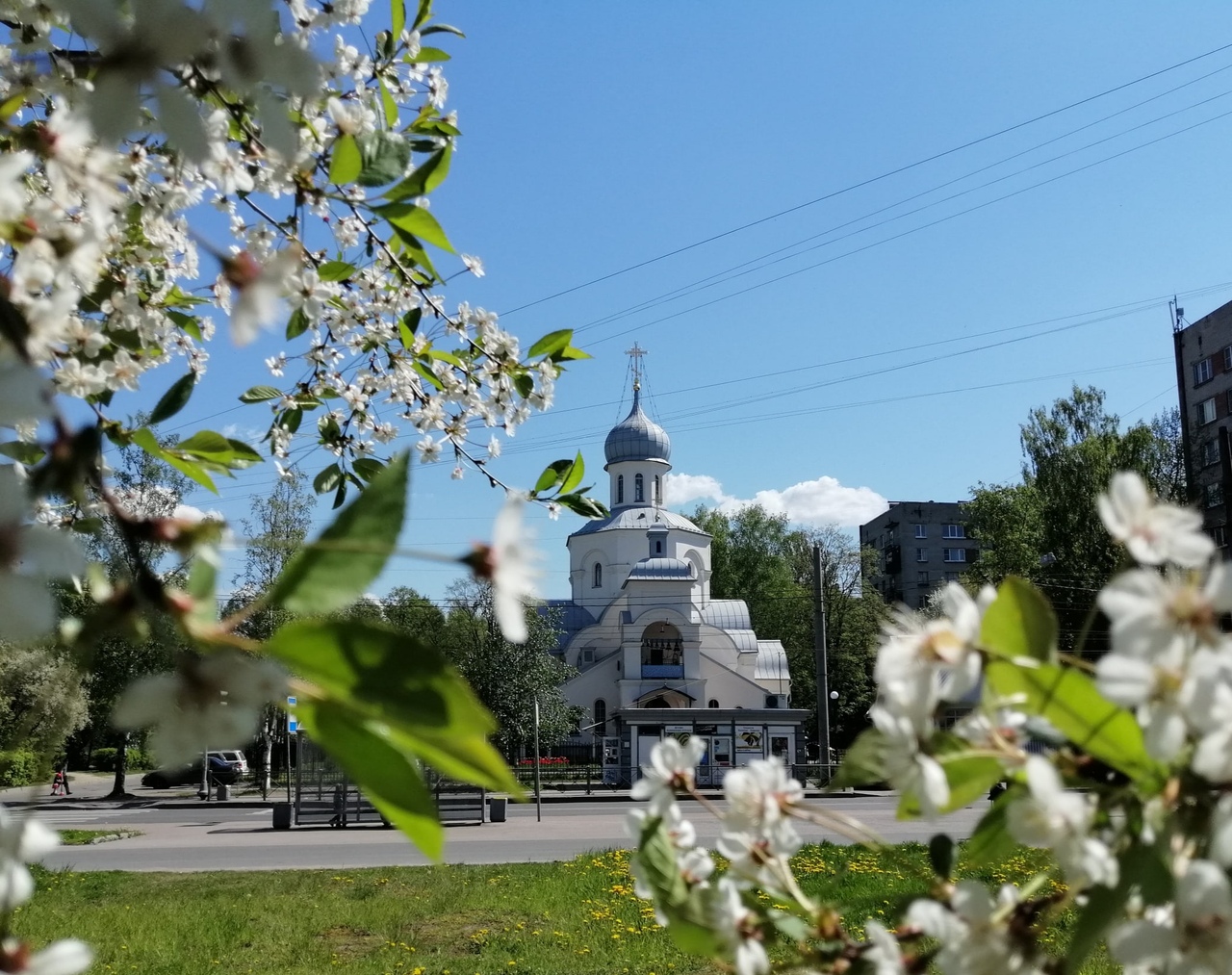 храм в цвету